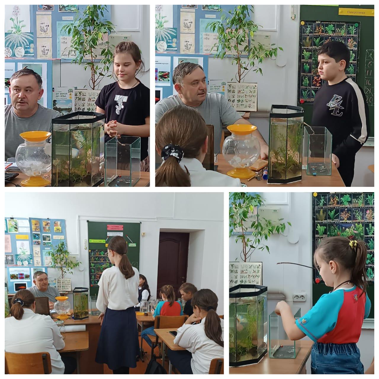 Объединения естественнонаучной направленности.